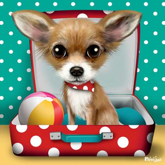 Chihuahua en vacances