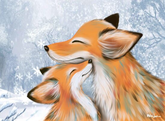 Un amour de renards